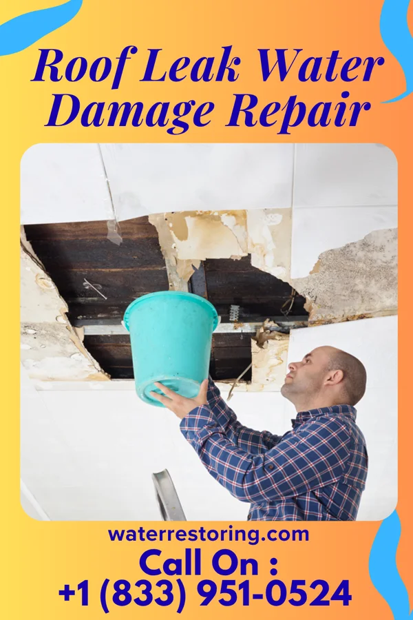 Roof Leak Water Damage Repair in De Kalb, MO